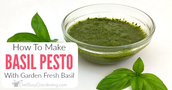 From Garden to Plate: Your Guide to Vibrant Homemade Basil Pesto